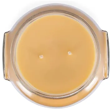 Tyler Mulled Cider Scented Candle 22oz Fall Aroma Gift