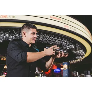 ALOONO 11-Piece Cocktail Shaker Kit - Premium Bar Accessories