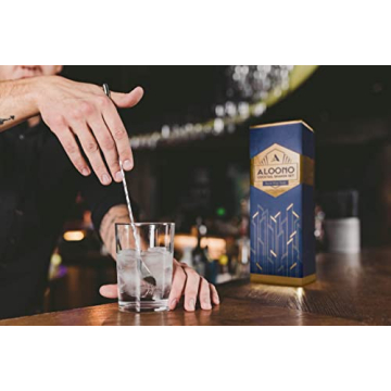 ALOONO 11-Piece Cocktail Shaker Kit - Premium Bar Accessories
