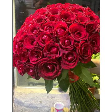 گل قرمز عاشقانه برای ولنتاین