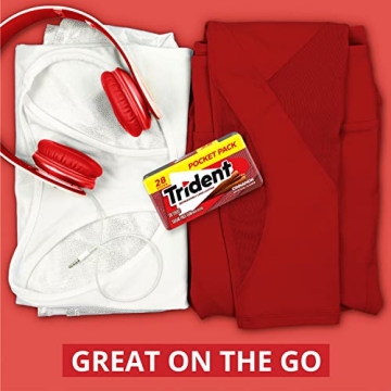 Trident Cinnamon Sugar Free Gum - 6 Pocket Packs