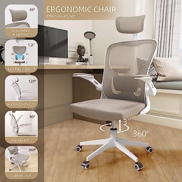 Monhey Ergonomic Office Chair with Lumbar Support and Metal Base