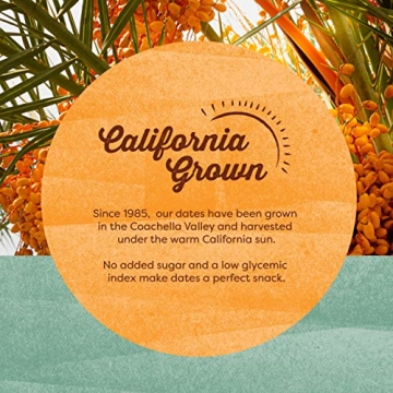 The Date Shoppe Pitted Deglet Dates | Vegan & Gluten-Free