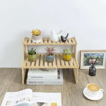 MyGift Natural Bamboo Indoor Plant Stand for Desk, 2 Tier Desktop Shelf Organizer Rack with 2 Slatted Shelves