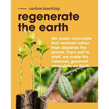 Alter Eco Almond Butter Bombs - Organic Dark Chocolate - Healthy Snacks for Adults - 9 Individually Wrapped Snacks - No Gluten, Preservatives, or GMOs - Keto - Low-Carb & Low-Sugar