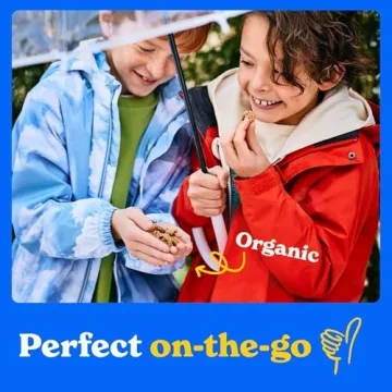 MadeGood Mini Cookies - Gluten Free & Kid Friendly