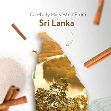 HBNO California Bottled Cinnamon Essential Oil (Leaf) 4 fl oz (120ml) - Natural Cinnamon Essential Oil for Diffuser - Perfect for Cleaning, Aromatherapy, DIY, Soap & Diffuser - Cinnamon Oil Essential