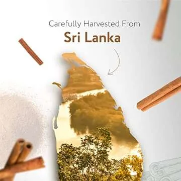 HBNO California Bottled Cinnamon Essential Oil (Leaf) 4 fl oz (120ml) - Natural Cinnamon Essential Oil for Diffuser - Perfect for Cleaning, Aromatherapy, DIY, Soap & Diffuser - Cinnamon Oil Essential