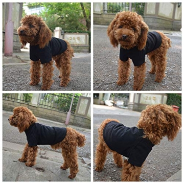 Lovelonglong Dog T-Shirt for Small Dogs Comfort & Style