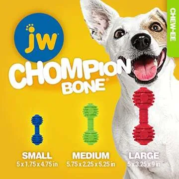 Durable JW Pet Chompion Chew Toy for Large Dogs