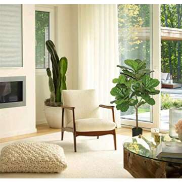 Ella and Lulu Design Fiddle Leaf 3' Tall, 38-in, for Indoor & Outdoor Window Centerpiece Welcome Wedding Party Anniversary Christmas Day Mother's Tree, Green