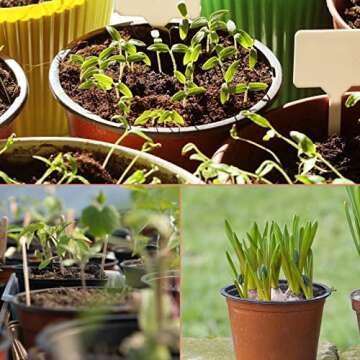 KINGLAKE 100 Pcs 4" Plastic Plants Nursery Pot/Pots Seedlings Flower Plant Container Seed Starting Pots,4 Inch,Red