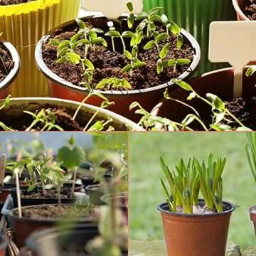 KINGLAKE 100 Pcs 4" Plastic Plants Nursery Pot/Pots Seedlings Flower Plant Container Seed Starting Pots,4 Inch,Red