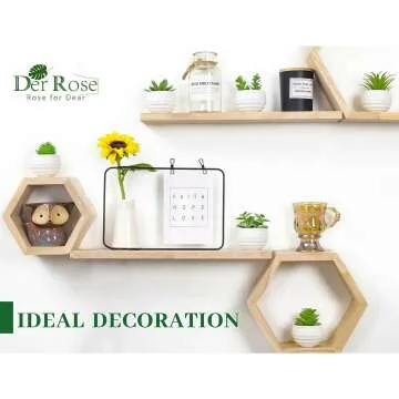 Mini Succulent Plants Set of 6 for Aesthetic Decor