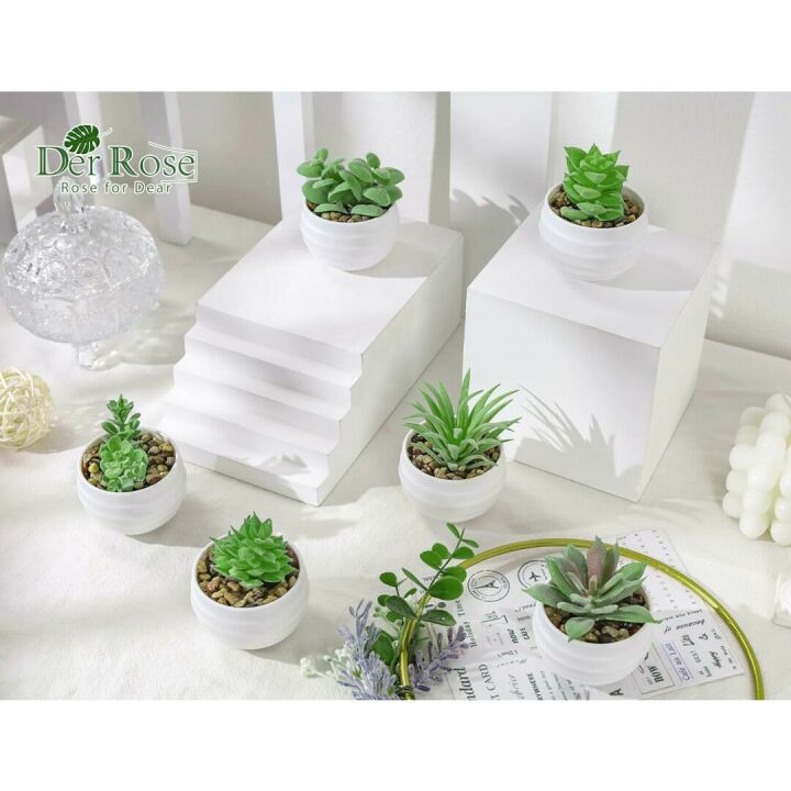 Mini Succulent Plants Set of 6 for Aesthetic Decor
