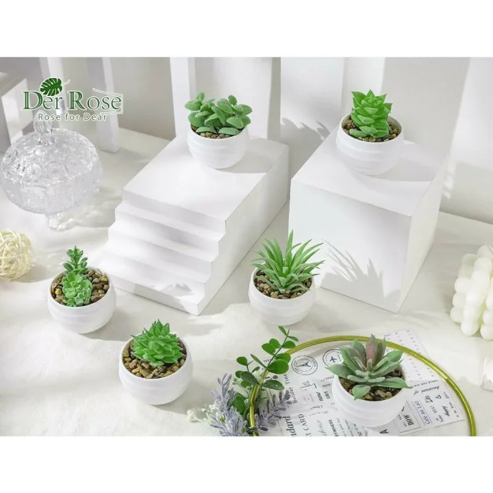 Mini Succulent Plants Set of 6 for Aesthetic Decor