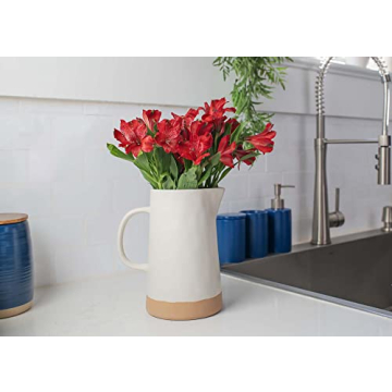 Stylish Nat & Jules Matte White Ceramic 48oz Pitcher