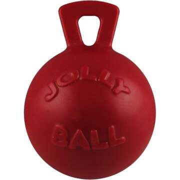 Jolly Pets Bounce and Play Ball - Medium Durable Dog Toy in Pink