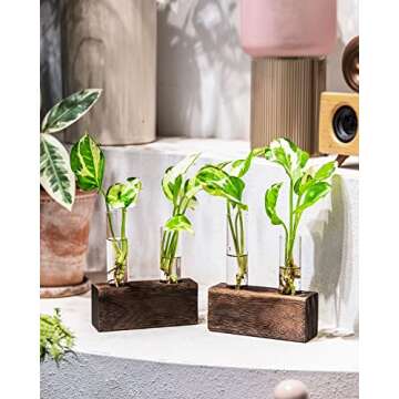 Ivolador Desktop Glass Plant Terrarium, Double Test Tubes Propagation Station with Retro Wooden Stan...