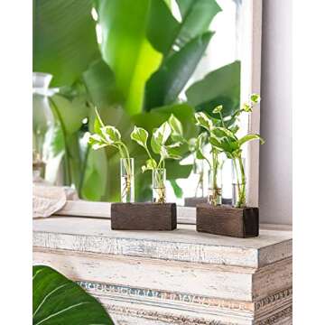 Ivolador Desktop Glass Plant Terrarium, Double Test Tubes Propagation Station with Retro Wooden Stand for Hydroponics Plants Garden Wedding Decor (Brown)