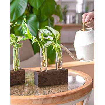Ivolador Desktop Glass Plant Terrarium, Double Test Tubes Propagation Station with Retro Wooden Stand for Hydroponics Plants Garden Wedding Decor (Brown)