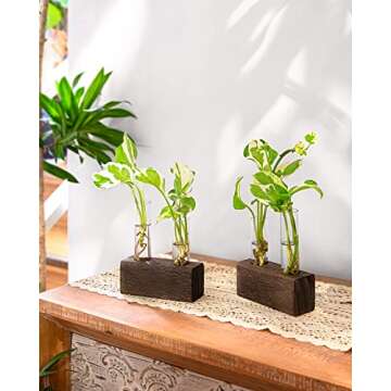 Ivolador Desktop Glass Plant Terrarium, Double Test Tubes Propagation Station with Retro Wooden Stand for Hydroponics Plants Garden Wedding Decor (Brown)