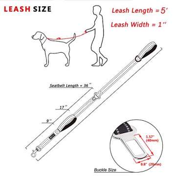 PoyPet 5 Feet Dog Leash - Travel Safe & Reflective