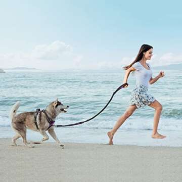 PoyPet 5 Feet Dog Leash - Travel Safe & Reflective