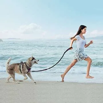 PoyPet 5 Feet Dog Leash - Travel Safe & Reflective