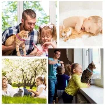 Custom Breakaway Cat Collar Personalized Cat-ID Collar Embroidered Pet Name Phone Safety Collars with Bell