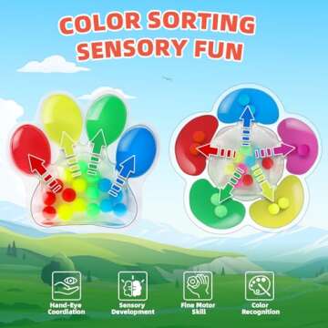 Color Sorting Sensory Toys: Fidget Toys for Toddlers 1-3, Fine Motor Skills Game Calm Down Montessor...