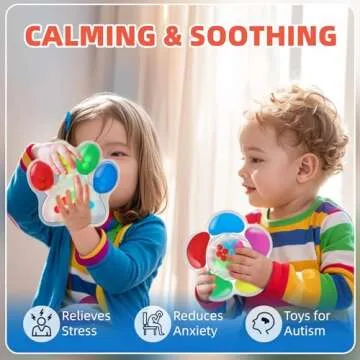 Color Sorting Sensory Toys: Fidget Toys for Toddlers 1-3, Fine Motor Skills Game Calm Down Montessori Travel Toys Stocking Stuffers for Kids Boys Girls Ages 3-4
