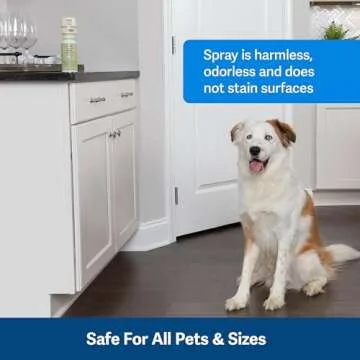 PetSafe SSSCAT Spray Replacement Can Only Use with SSSCAT Spray, Dog and Cat Deterrent System - Keeps Areas Pet Proof Environmentally Friendly Training Repellent - Protect Your Pets and Furniture