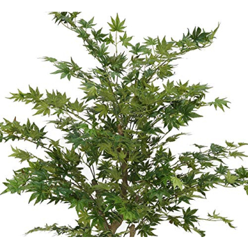 Shop Faux 4ft Japanese Maple Tree for Indoor Elegance