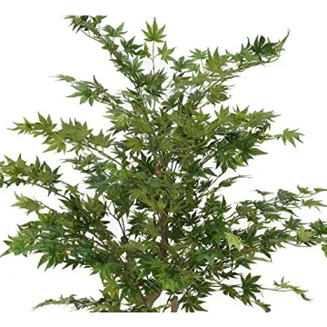 Shop Faux 4ft Japanese Maple Tree for Indoor Elegance