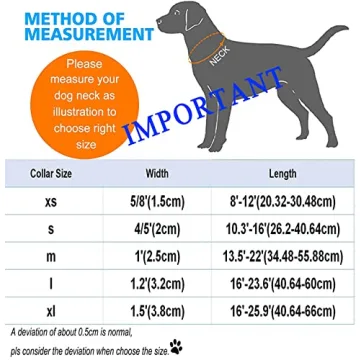 DOGWONG Valentine's Dog Collar - Adjustable Heart Bowtie