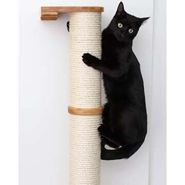 Catastrophic Creations Cat Scratching Post – 4-Tier Cat Wall Scratcher – Durable Bamboo & Sisal ...