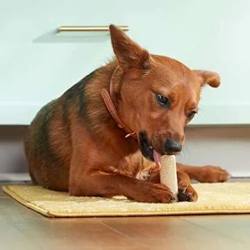 Rachael Ray Nutrish Soup Bones Dog Treats, Chicken & Veggies Flavor, 11 Count (Pack of 1)