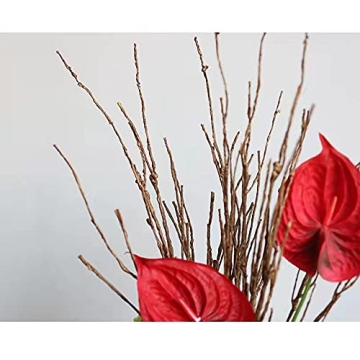 Lifelike 5PCS Curly Willow Branches for Home Decor