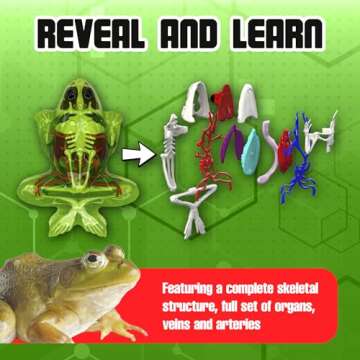 Dissect-It Kit for Kids Plus Upgraded Frog Dissection Toy Kit, Realistic Lab Experience, No Use of Real Frog! No Odor, STEM Toys, Animal Science & Anatomy Home Learning for Kids, Boys, Girls