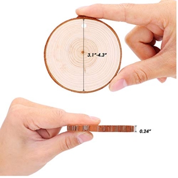 Craft Wood Slices Set - 40 Unfinished Natural Slices