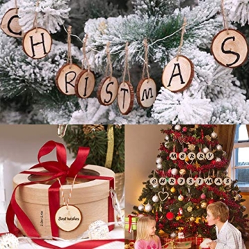 Craft Wood Slices Set - 40 Unfinished Natural Slices