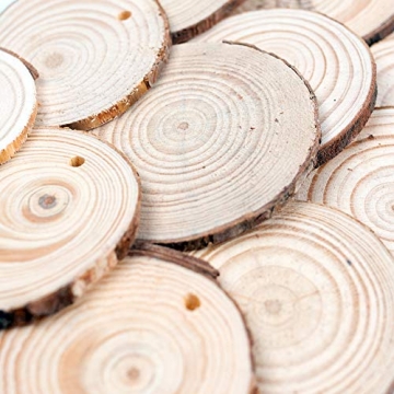 Craft Wood Slices Set - 40 Unfinished Natural Slices