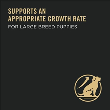 Purina Pro Plan Large Breed Puppy Food with Chicken 34 lb