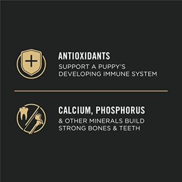 Purina Pro Plan Large Breed Puppy Food with Chicken 34 lb