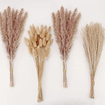 Natural Dried Pampas Grass Decor for Home and Weddings