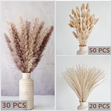 Natural Dried Pampas Grass Decor for Home and Weddings