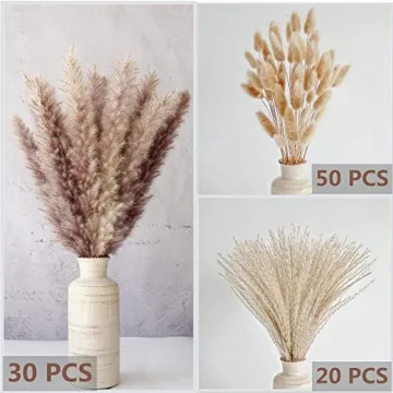 Natural Dried Pampas Grass Decor for Home and Weddings