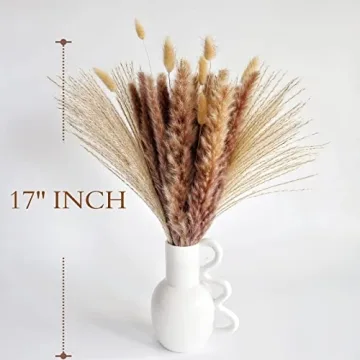 Natural Dried Pampas Grass Decor for Home and Weddings