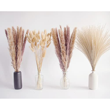 Natural Dried Pampas Grass Decor for Home and Weddings